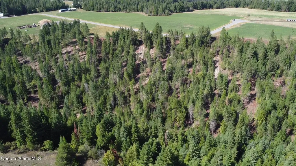 492 Stellar Jay Road Bonners Ferry ID 83805