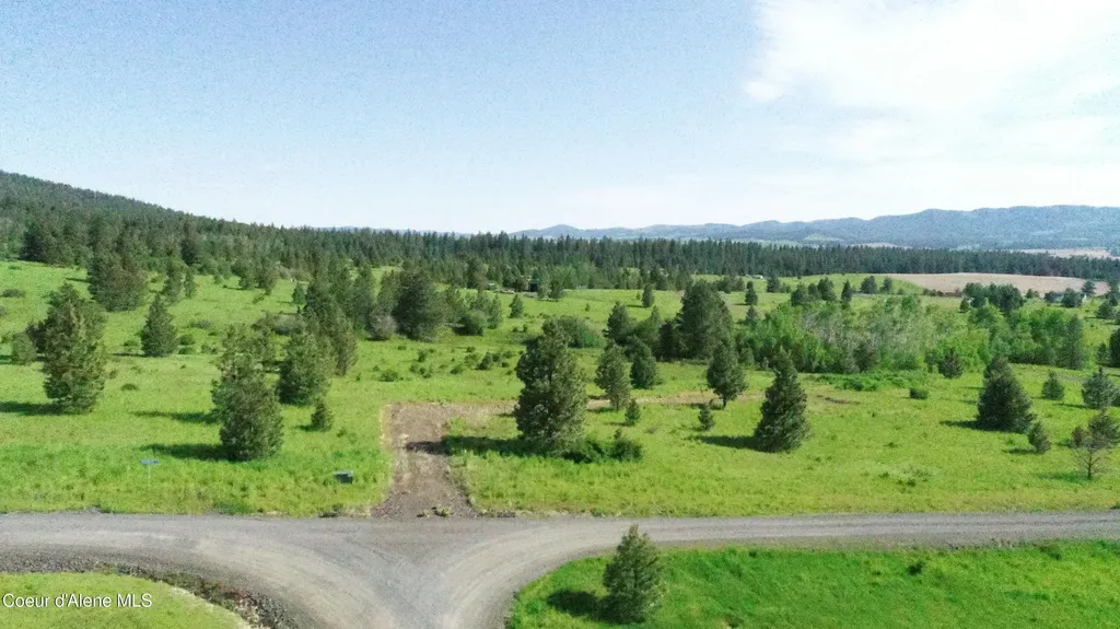 404 Vine Maple Road Desmet ID 83824