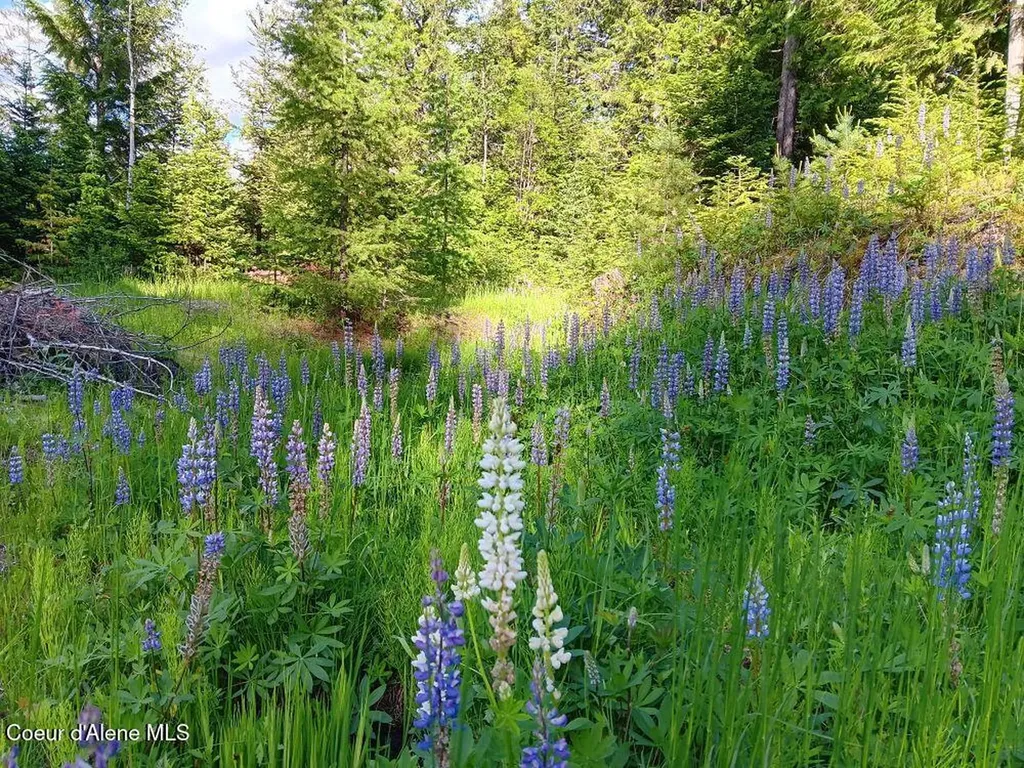 452 Toad Road Priest River ID 83856