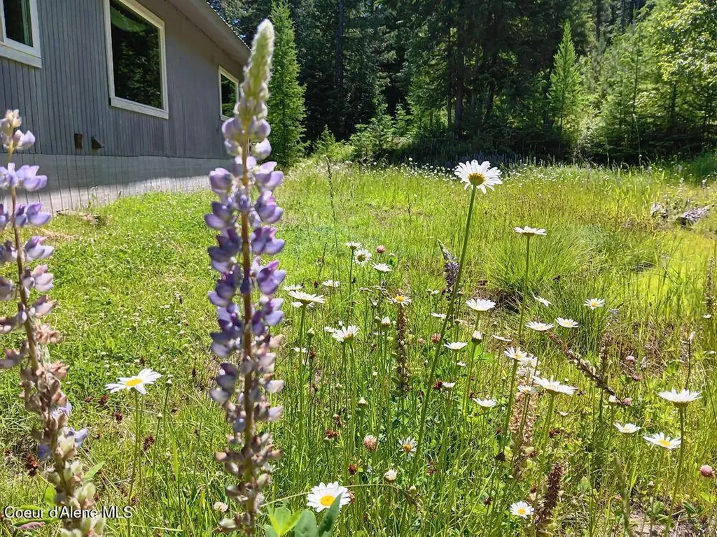 452 Toad Road Priest River ID 83856
