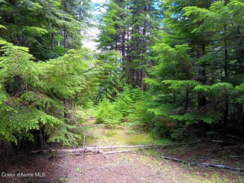 452 Toad Road Priest River ID 83856