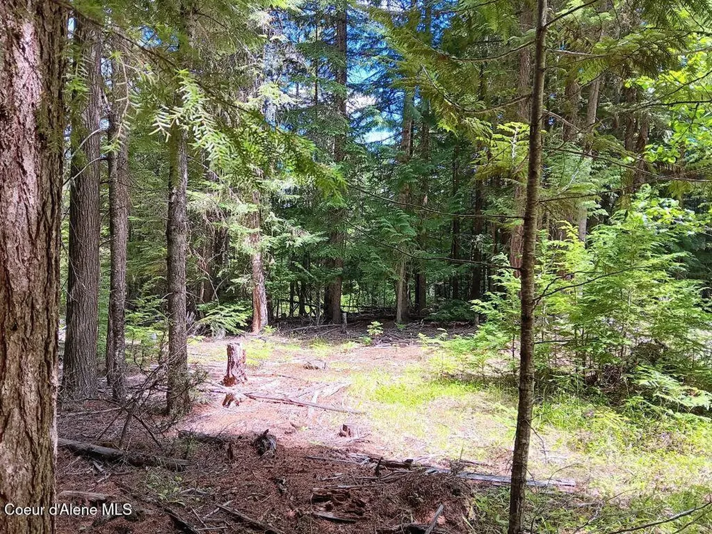 452 Toad Road Priest River ID 83856