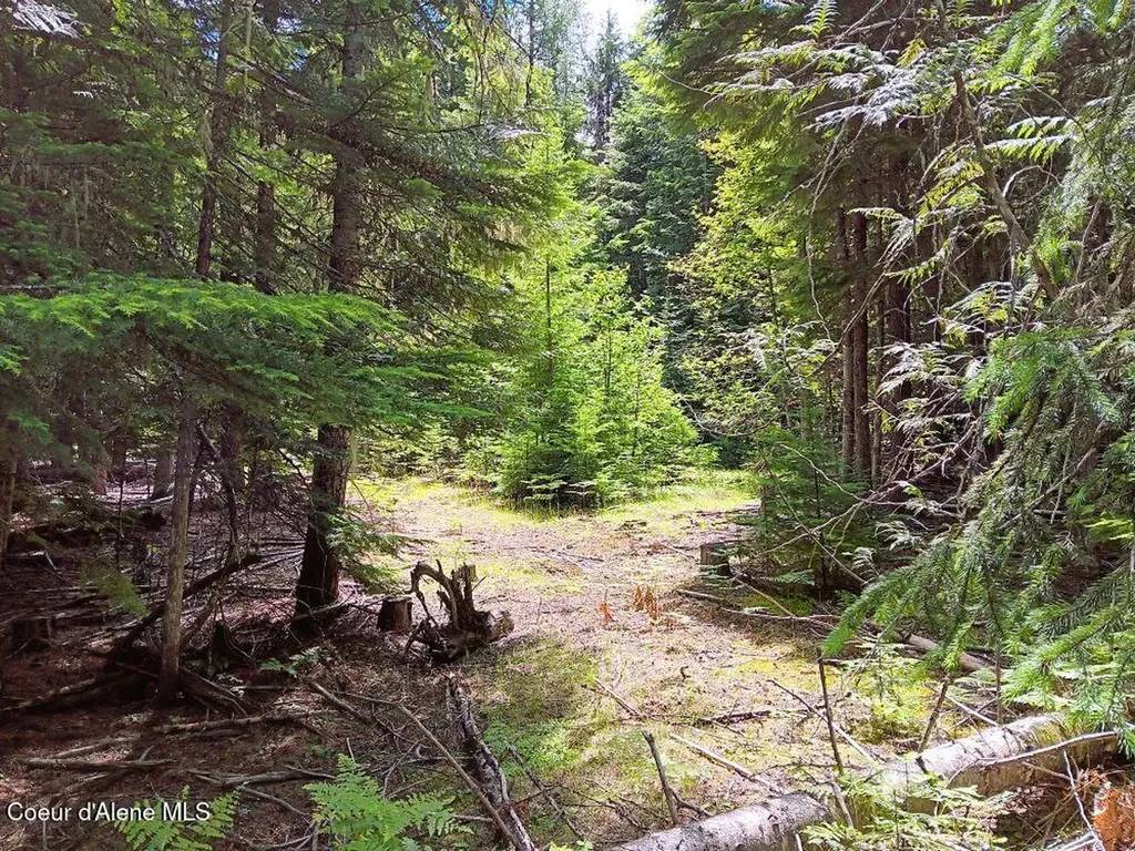 452 Toad Road Priest River ID 83856