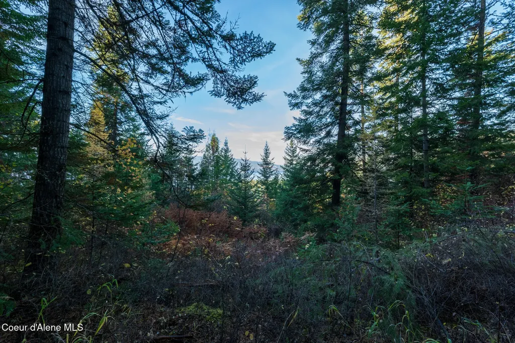 Nka 39-ac Half Round Bay Road Harrison ID 83833