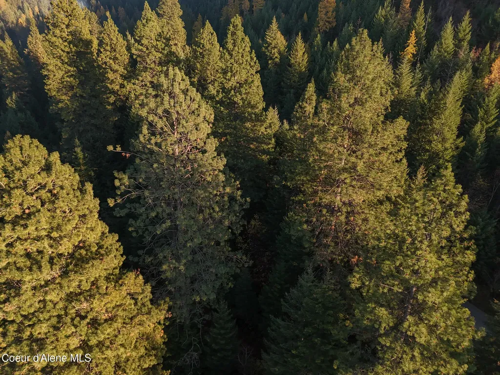 Nka 39-ac Half Round Bay Road Harrison ID 83833