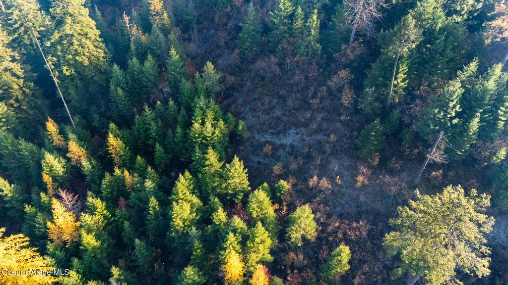 Nka 39-ac Half Round Bay Road Harrison ID 83833