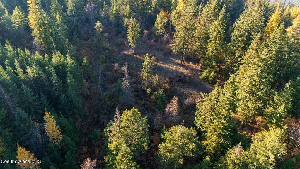 Nka 39-ac Half Round Bay Road Harrison ID 83833