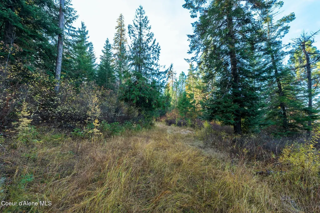 Nka 39-ac Half Round Bay Road Harrison ID 83833