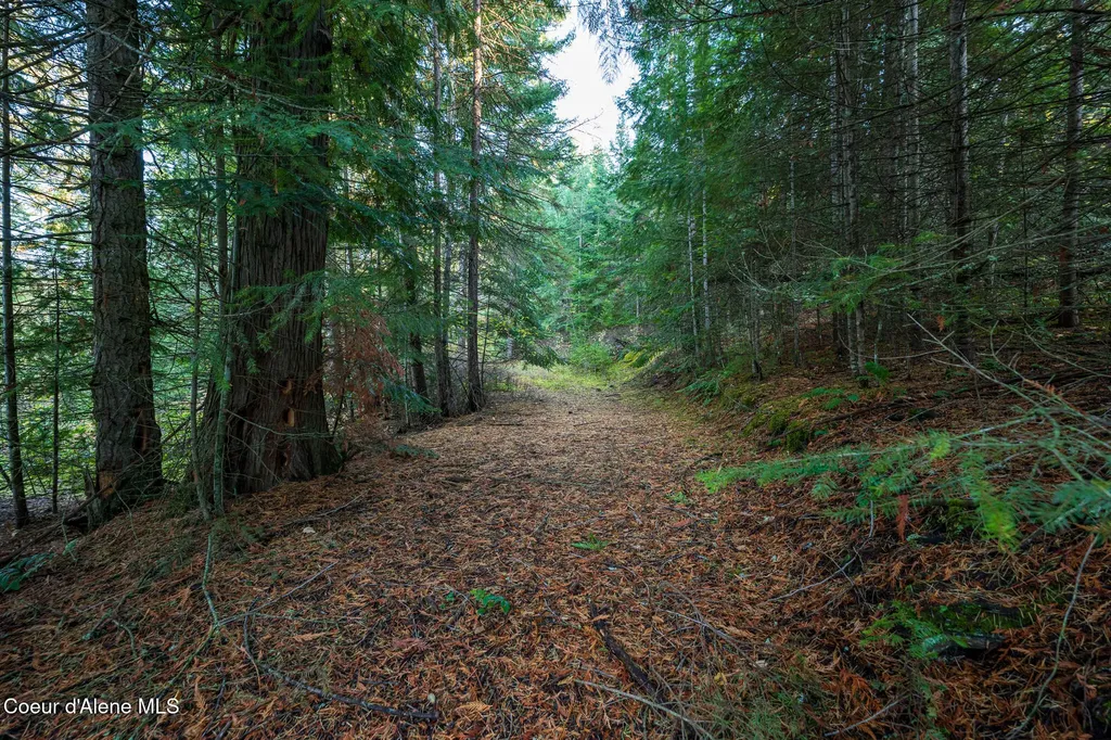 Nka 39-ac Half Round Bay Road Harrison ID 83833