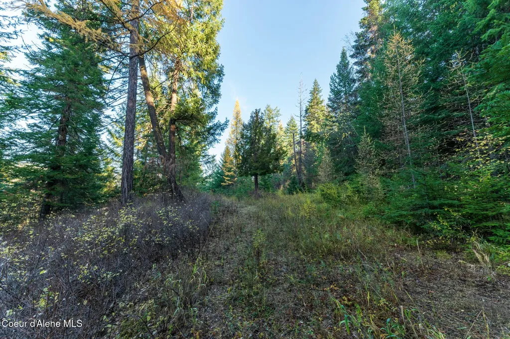Nka 39-ac Half Round Bay Road Harrison ID 83833