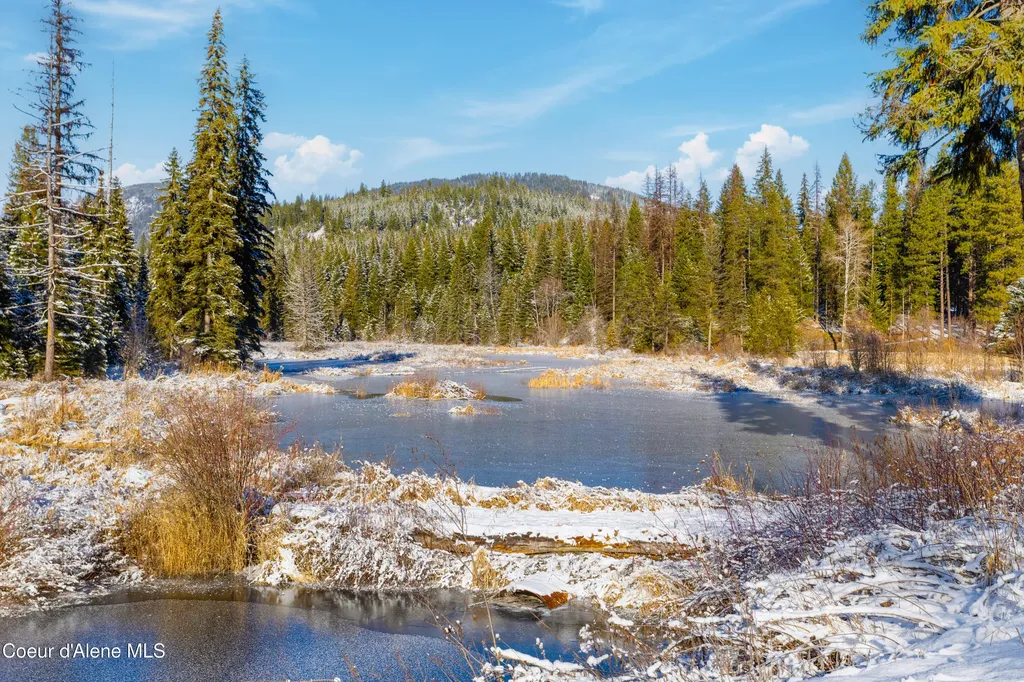 533739 U.s. 95 - 228 Acres Bonners Ferry ID 83805