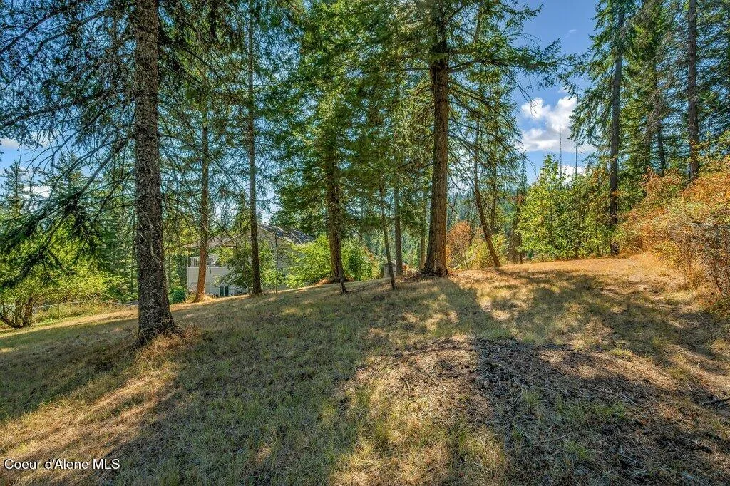 11413 N Summit Loop Hauser ID 83854