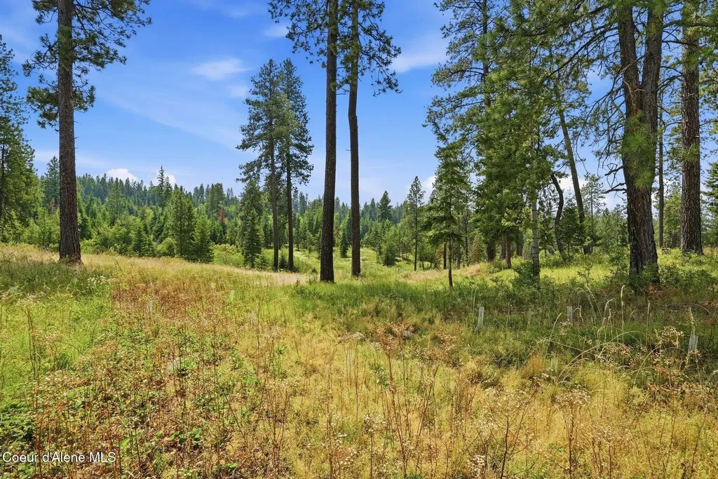 9.5 Acres Ranch Road Plummer ID 83851