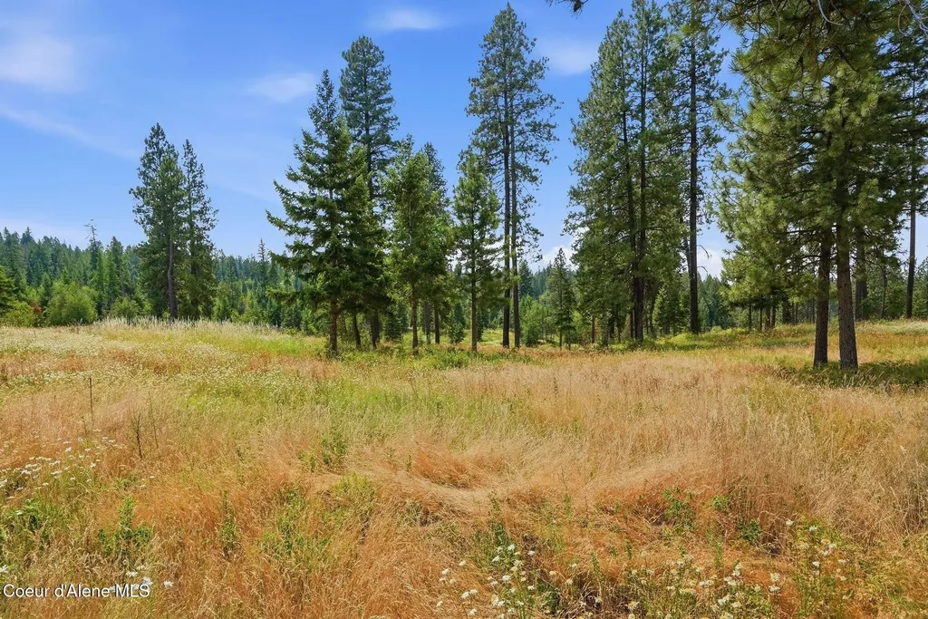 9.5 Acres Ranch Road Plummer ID 83851