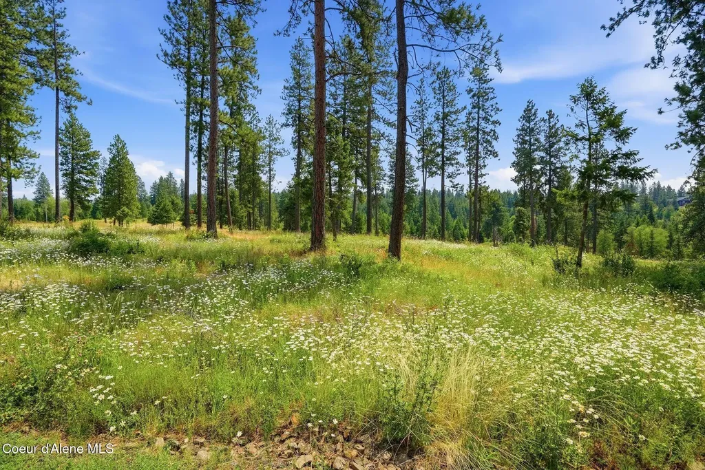 9.5 Acres Ranch Road Plummer ID 83851