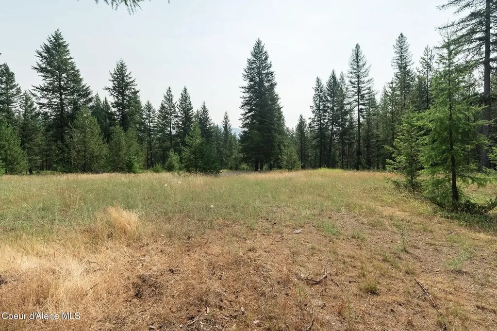 425 Compas Lane Bonners Ferry ID 83805