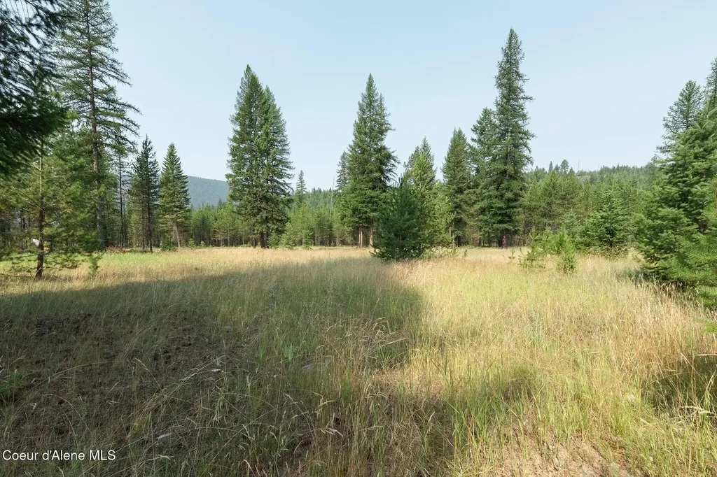 425 Compas Lane Bonners Ferry ID 83805