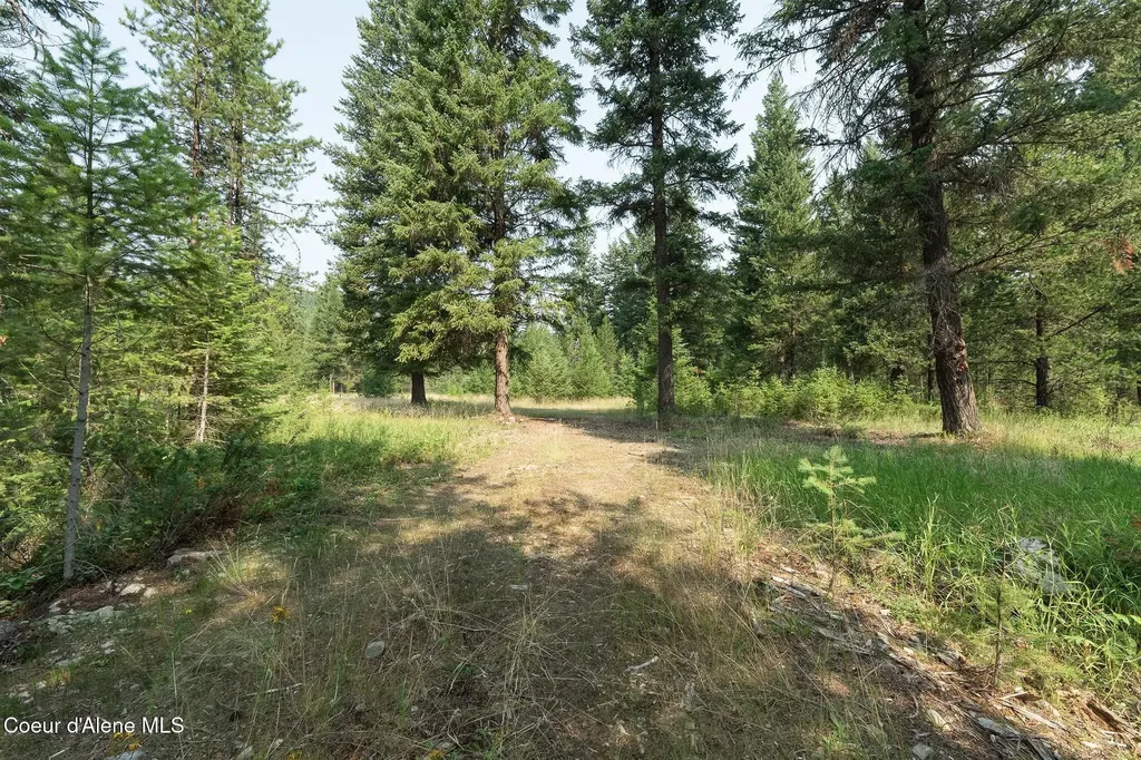 425 Compas Lane Bonners Ferry ID 83805
