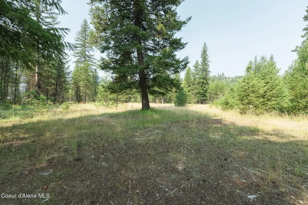 425 Compas Lane Bonners Ferry ID 83805