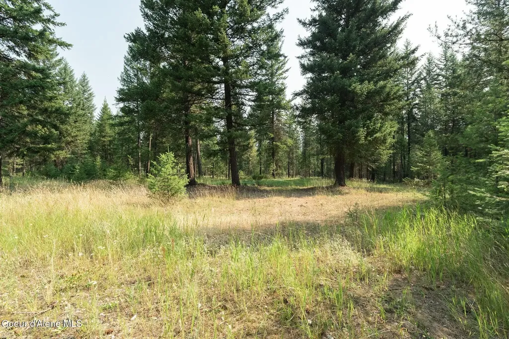 425 Compas Lane Bonners Ferry ID 83805
