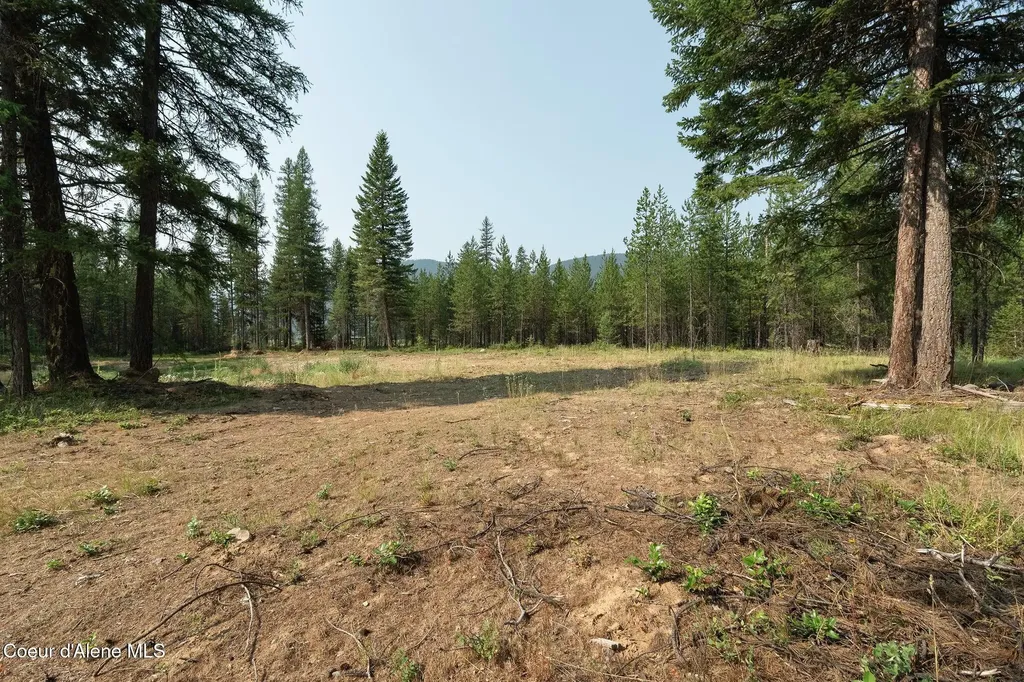 425 Compas Lane Bonners Ferry ID 83805