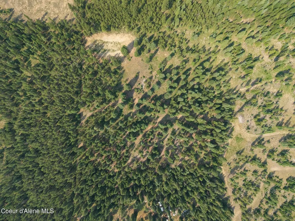 425 Compas Lane Bonners Ferry ID 83805