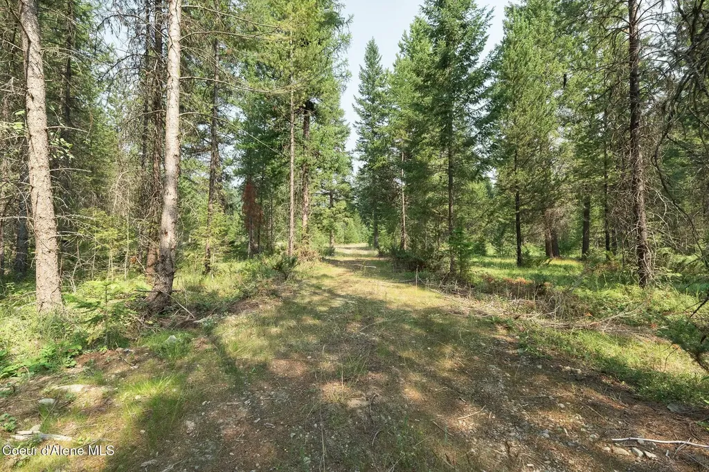 425 Compas Lane Bonners Ferry ID 83805