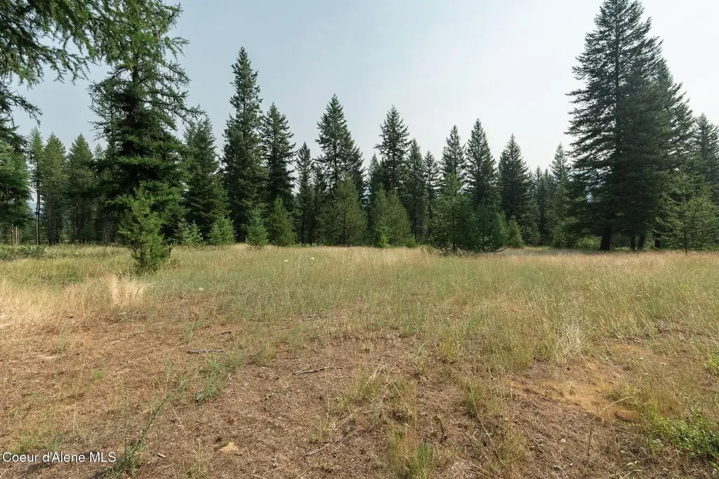 425 Compas Lane Bonners Ferry ID 83805