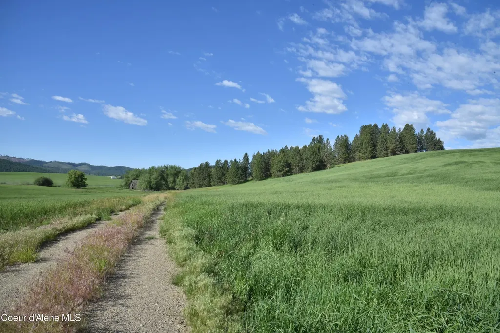 Nna Sanders Road Tensed ID 83870