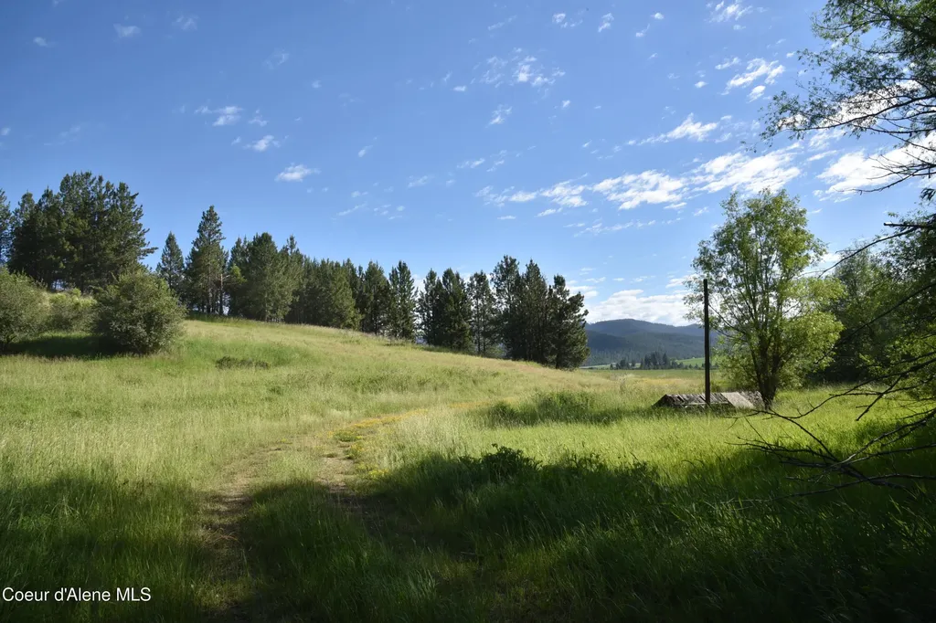 Nna Sanders Road Tensed ID 83870
