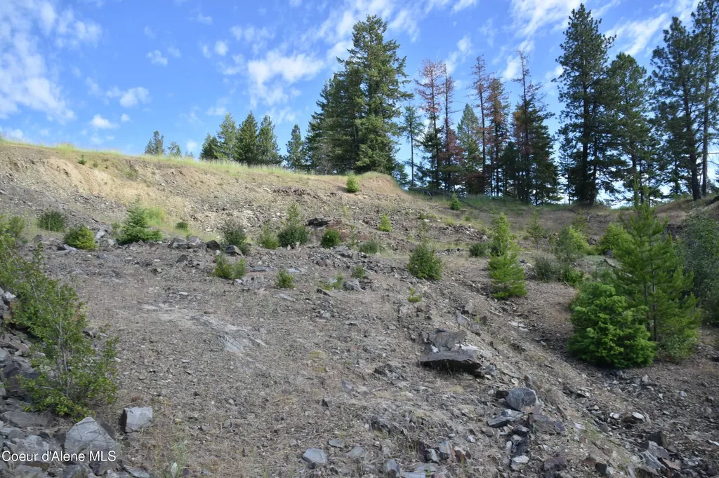 Nna Sanders Road Tensed ID 83870