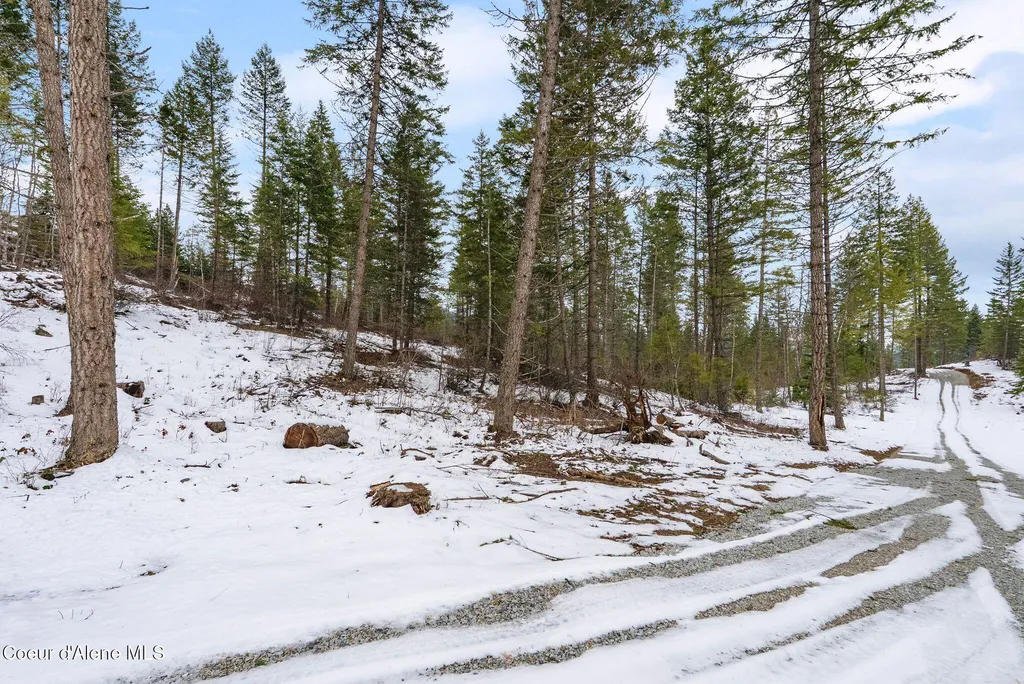Lot 4 Settlers Lane Cocolalla ID 83813