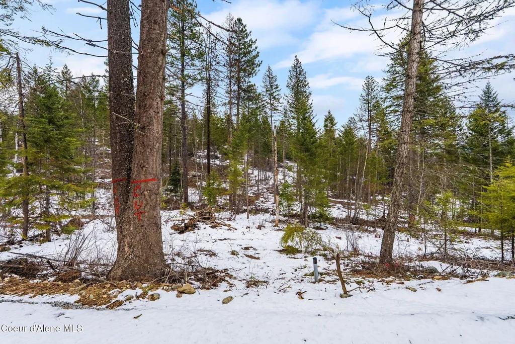 Lot 4 Settlers Lane Cocolalla ID 83813