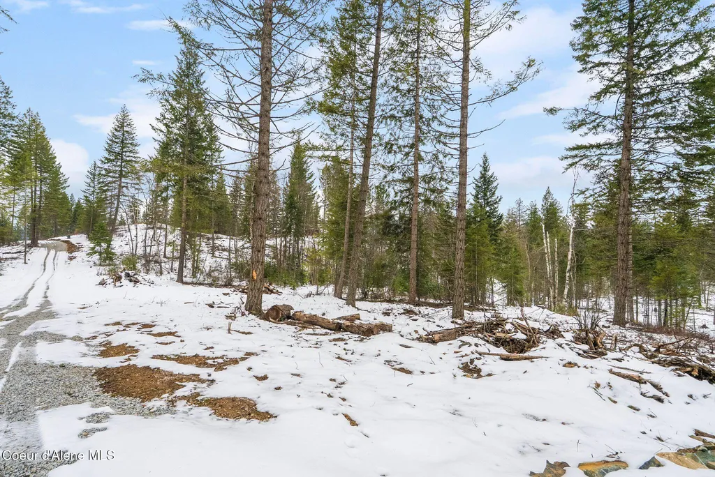 Lot 3 Settlers Lane Cocolalla ID 83813