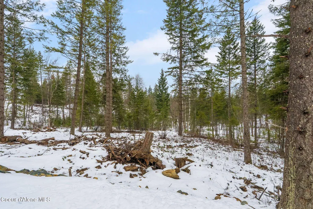 Lot 3 Settlers Lane Cocolalla ID 83813
