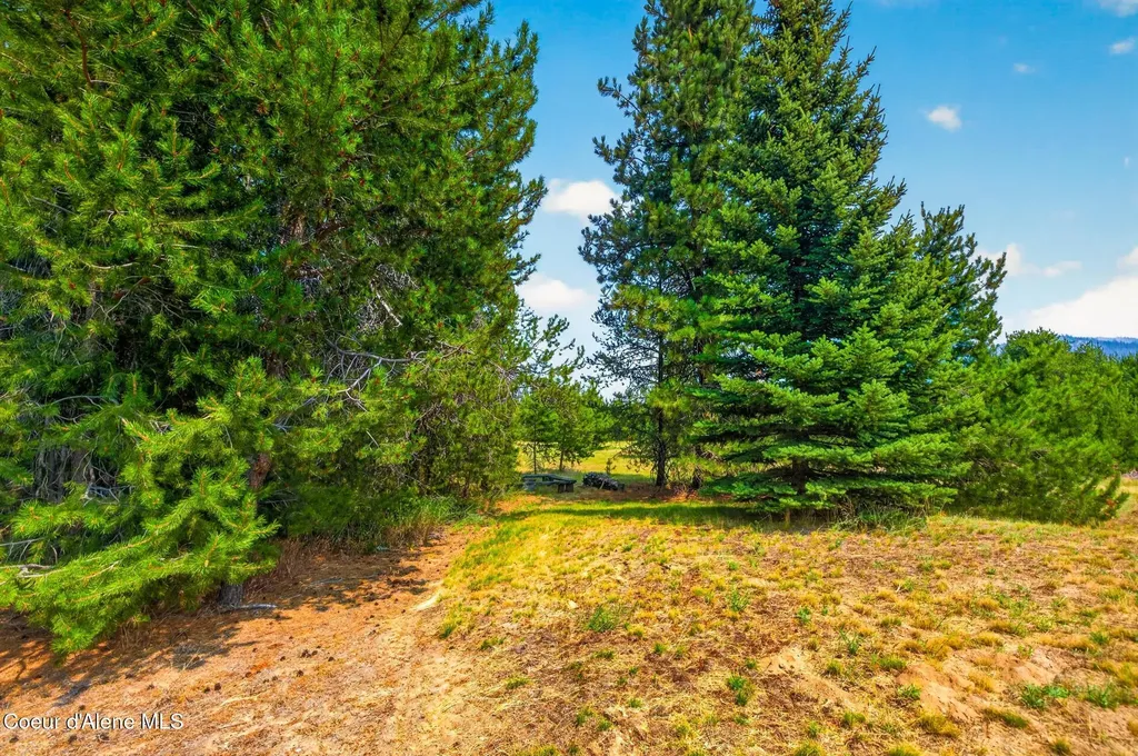 1255 Roberts Lane Blanchard ID 83804