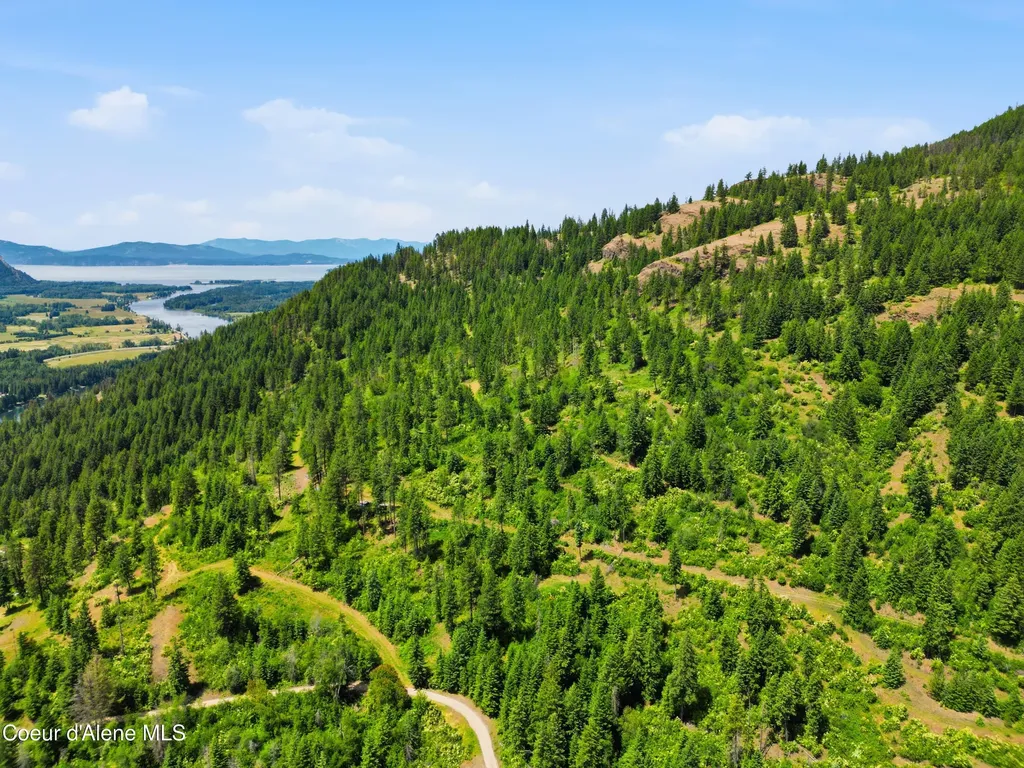 1010 Mc Quade Gulch Drive Clark Fork ID 83811