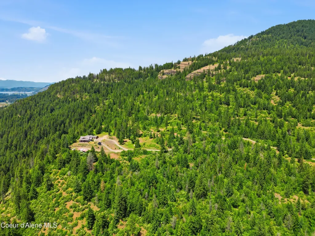 1010 Mc Quade Gulch Drive Clark Fork ID 83811