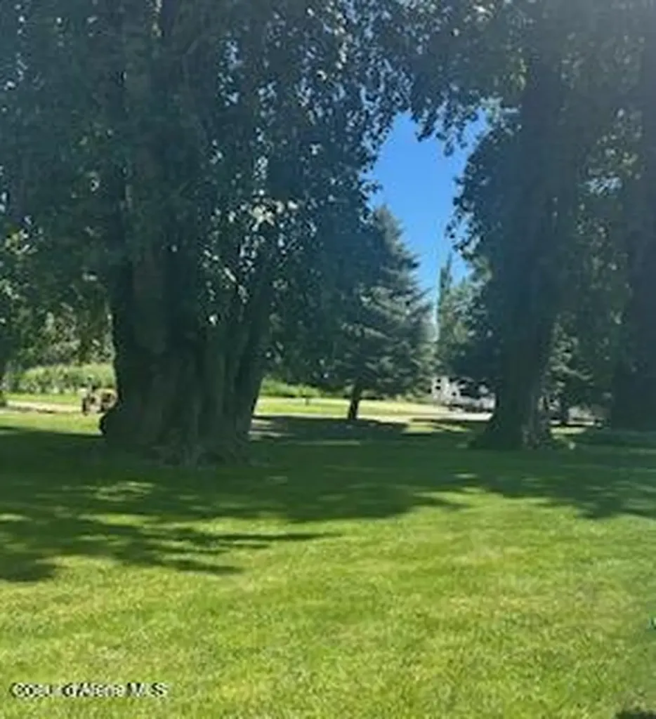 360 Whitetail Flats Lane St. Maries ID 83861