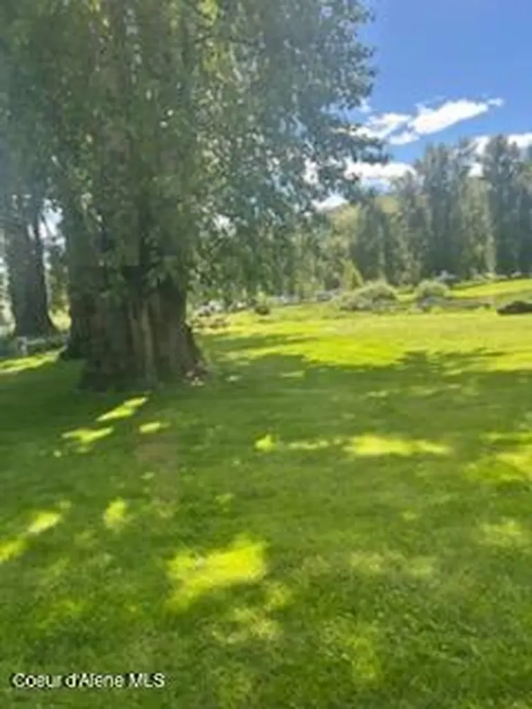360 Whitetail Flats Lane St. Maries ID 83861