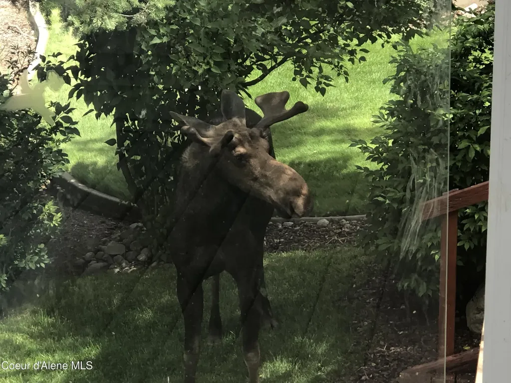 16703 W Riverview Drive Post Falls ID 83854