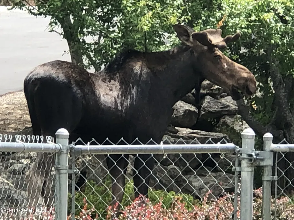16703 W Riverview Drive Post Falls ID 83854