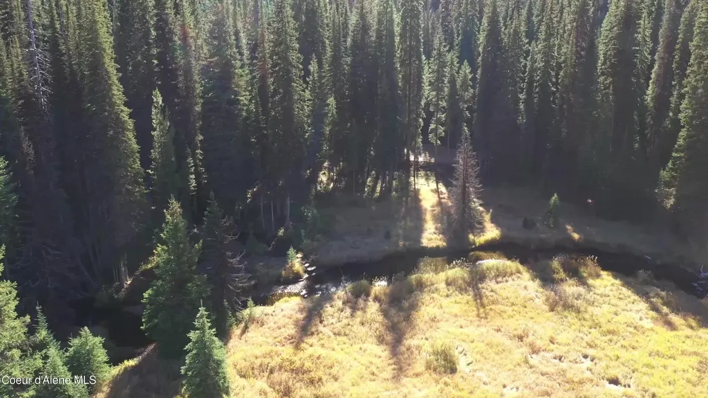 Parcel 2 East Fork Spruce Creek Road Unincorporated ID 83525