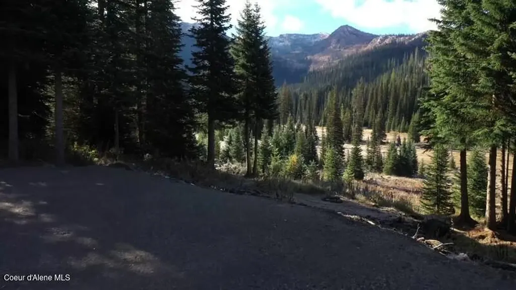 Parcel 2 East Fork Spruce Creek Road Unincorporated ID 83525