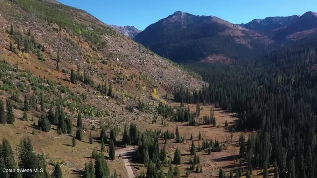 Parcel 2 East Fork Spruce Creek Road Unincorporated ID 83525
