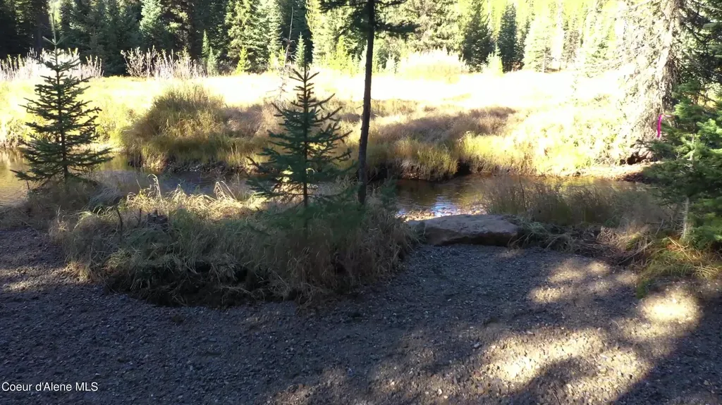 Parcel 2 East Fork Spruce Creek Road Unincorporated ID 83525