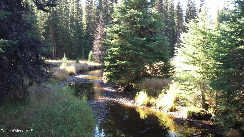 Parcel 2 East Fork Spruce Creek Road Unincorporated ID 83525