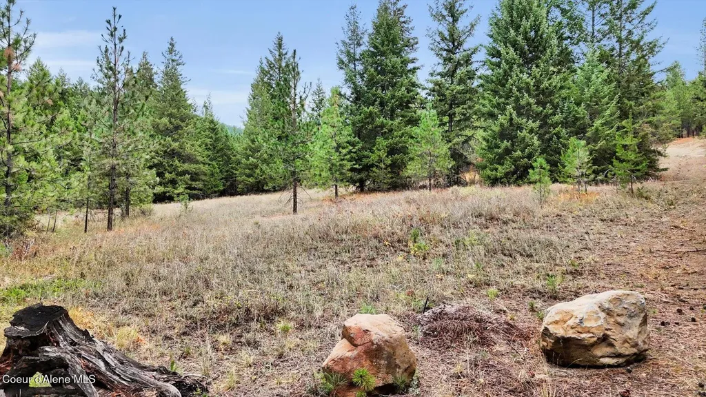 1571 Stone Road Blanchard ID 83804