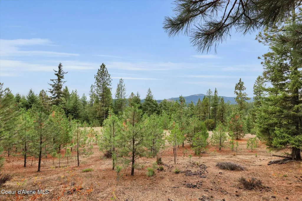 1571 Stone Road Blanchard ID 83804
