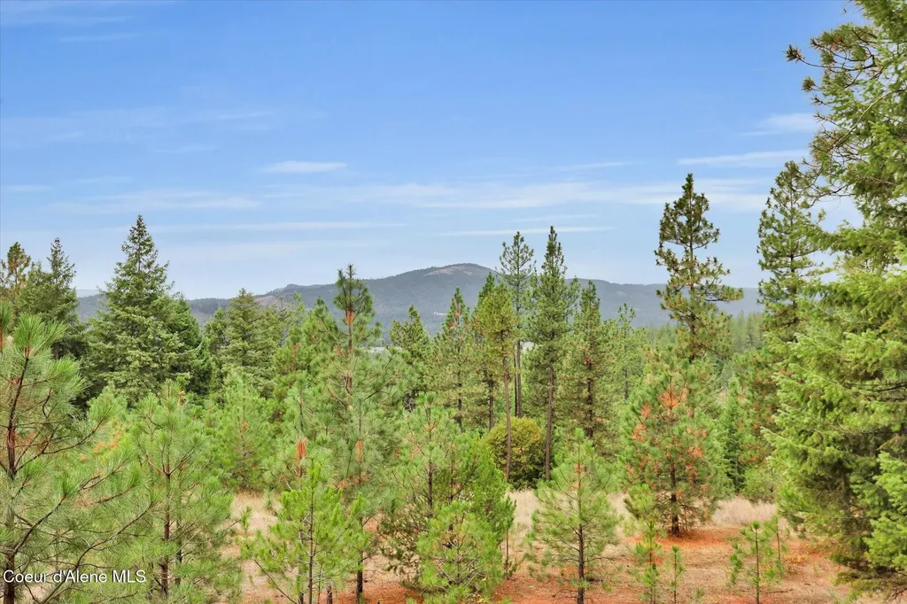 1571 Stone Road Blanchard ID 83804